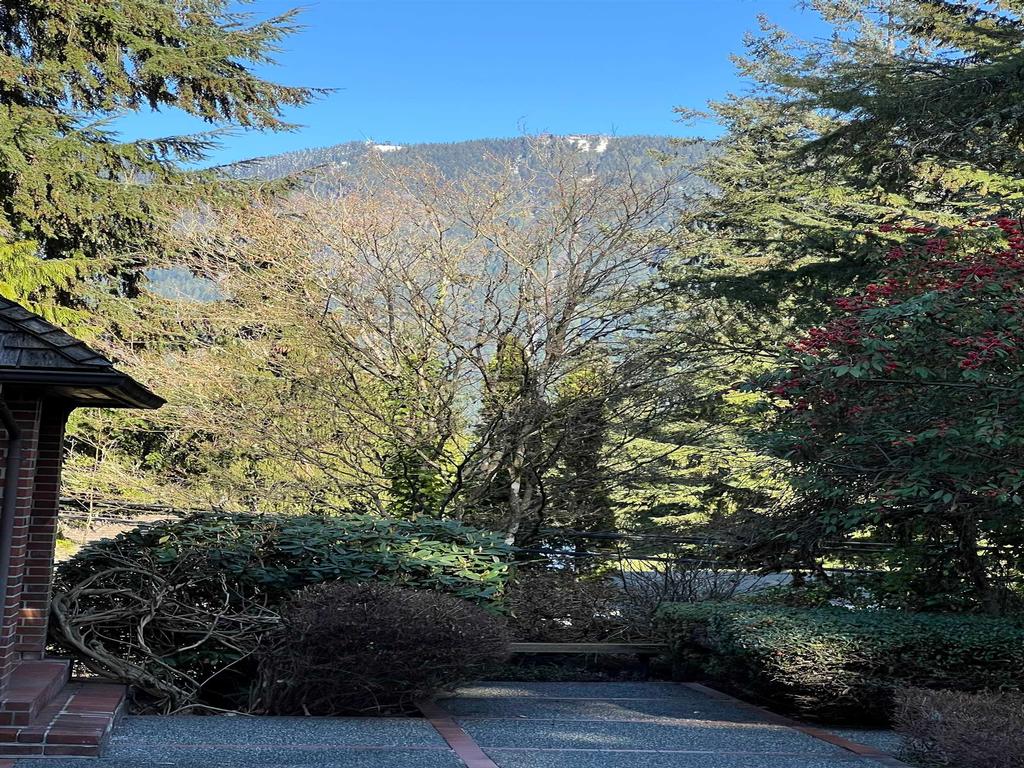 Listing Image for R3095898