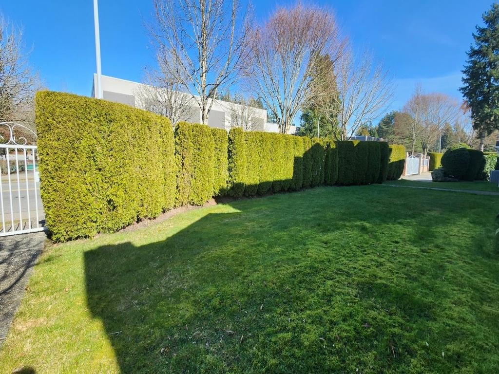 Listing Image for R3096290