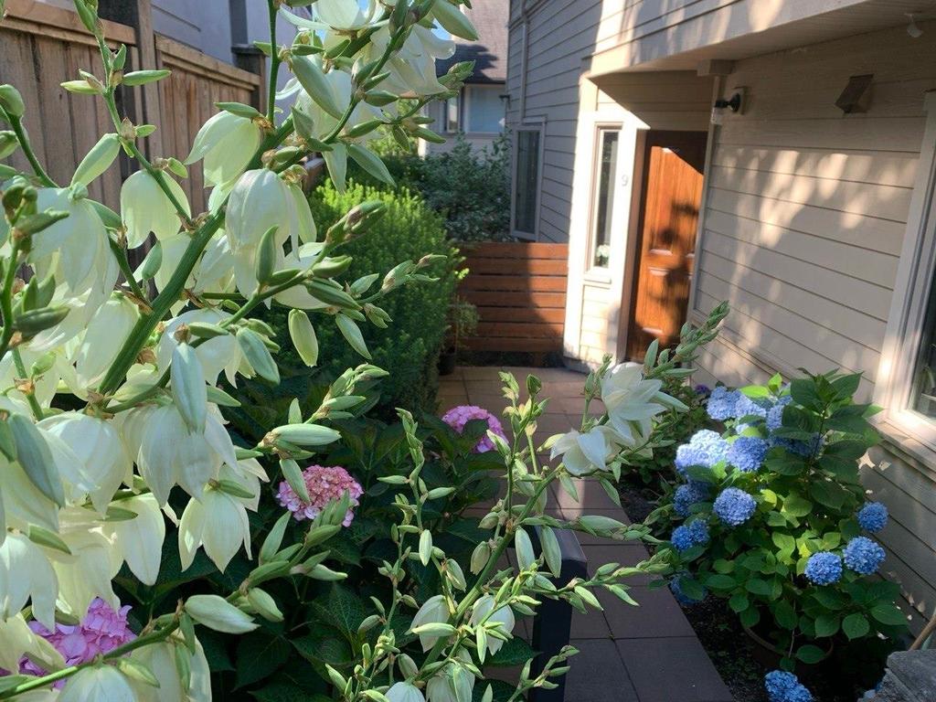 Listing Image for R3096476