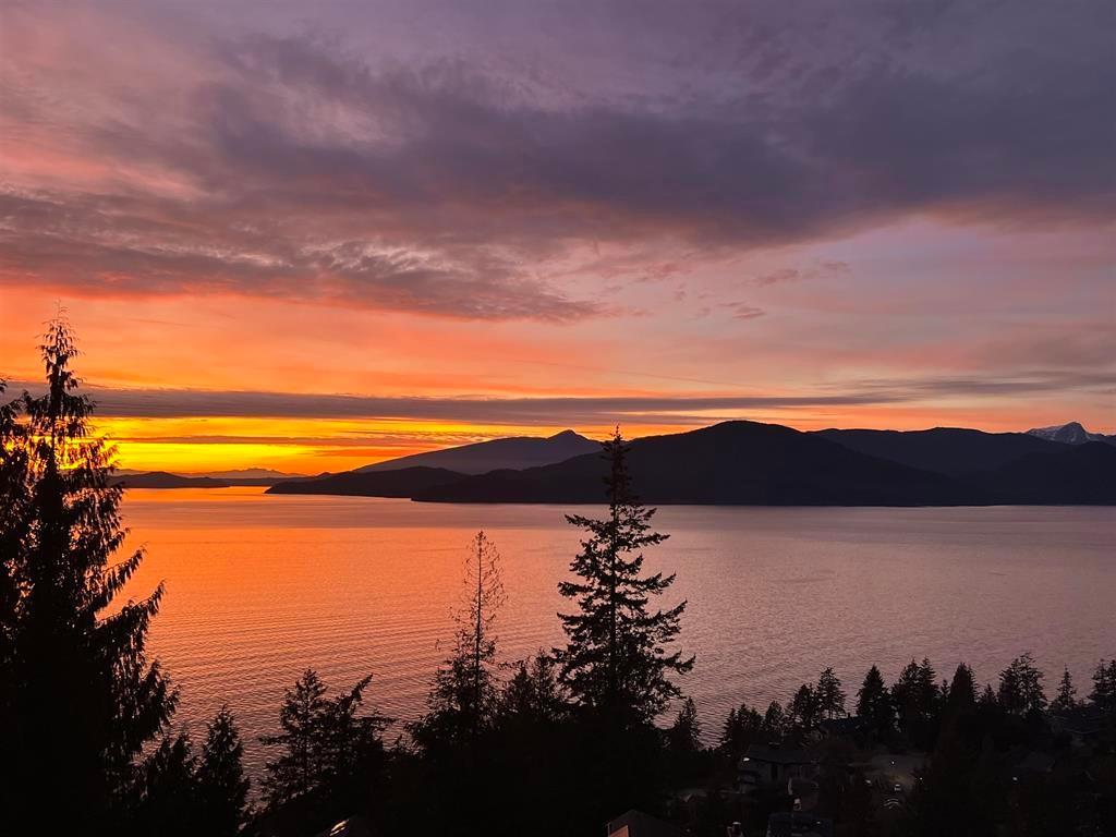 Listing Image for R3096520