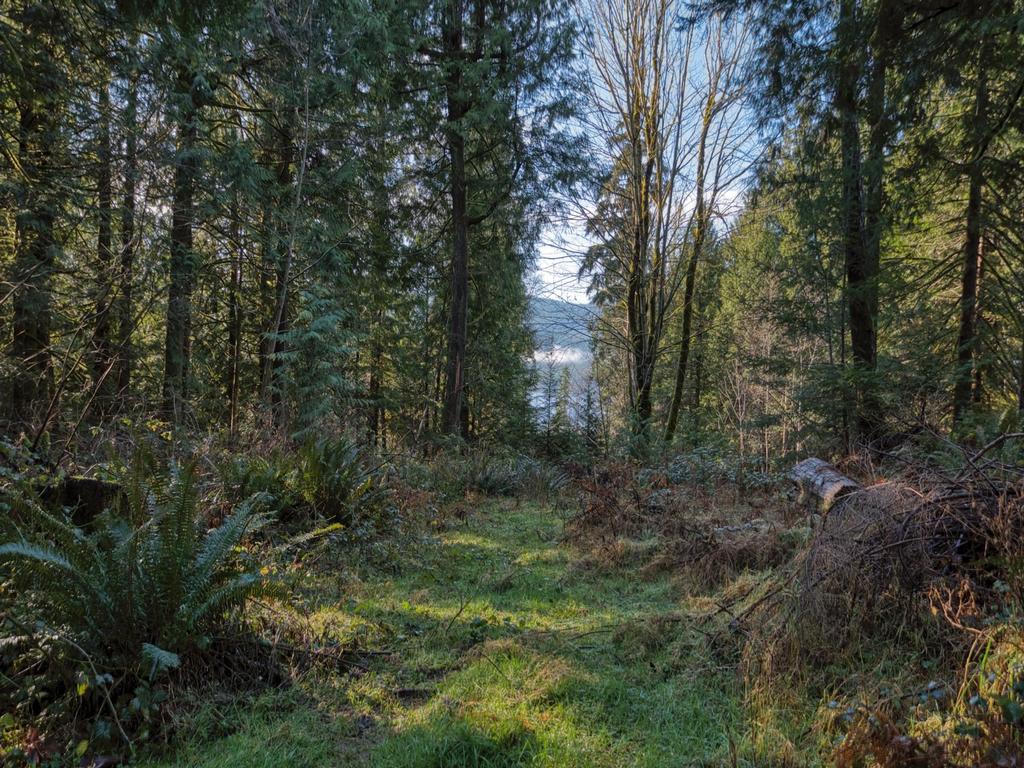 Listing Image for R3096729