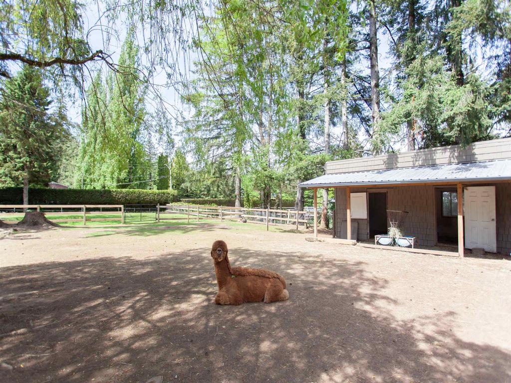 Listing Image for R3096741