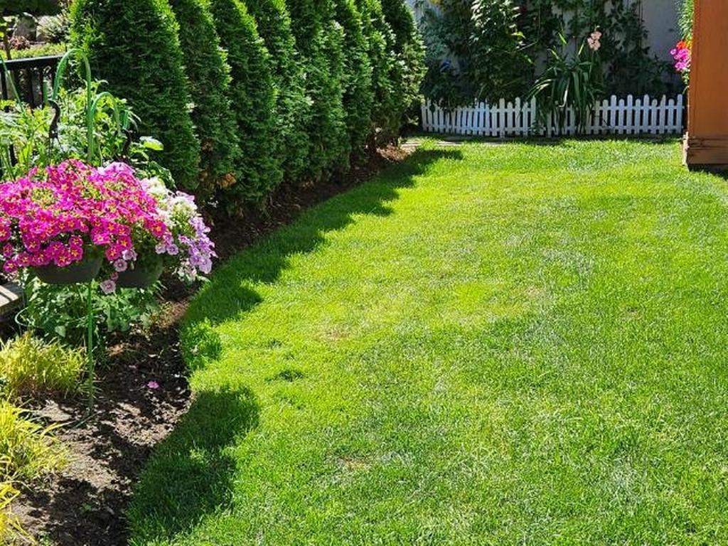 Listing Image for R3096808