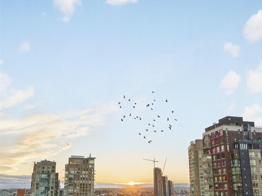 Listing Image for R3096855