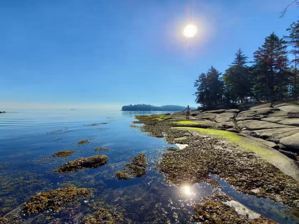 Listing Image for R3096899