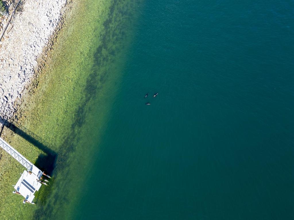 Listing Image for R3096934