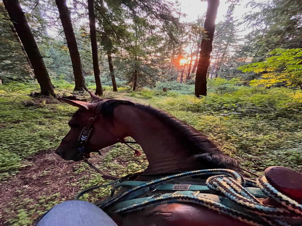 Listing Image for R3096972