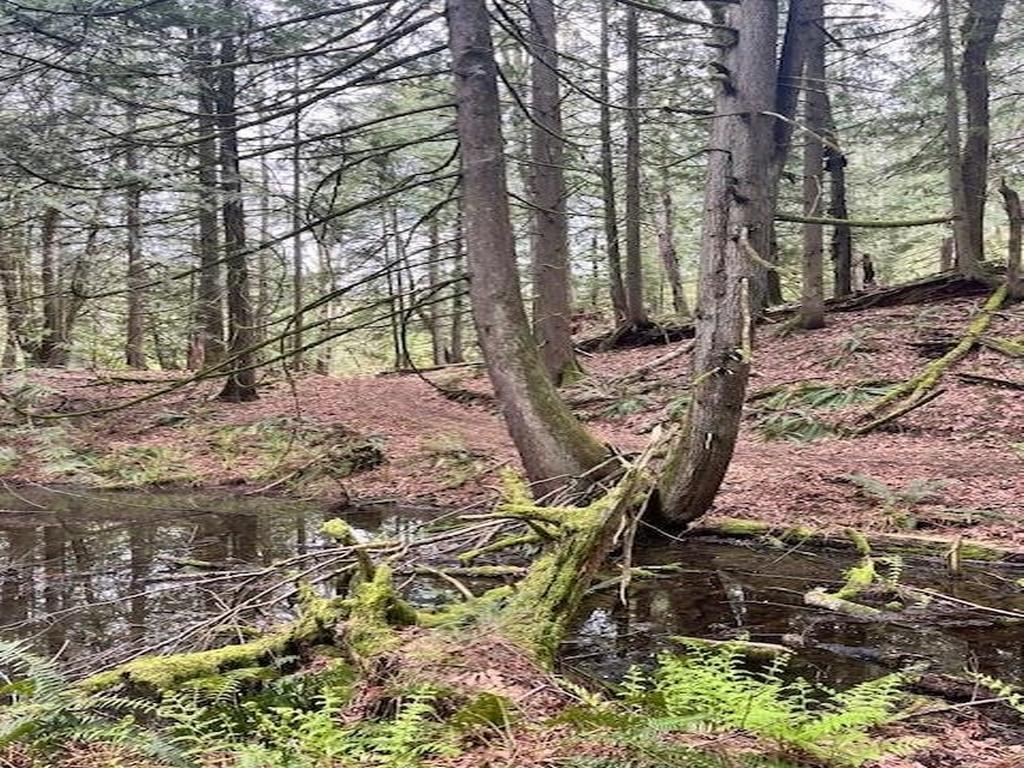 Listing Image for R3096972