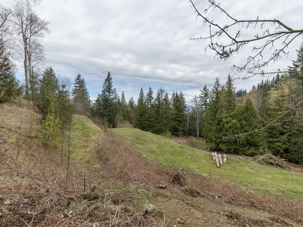 Listing Image for R3096972