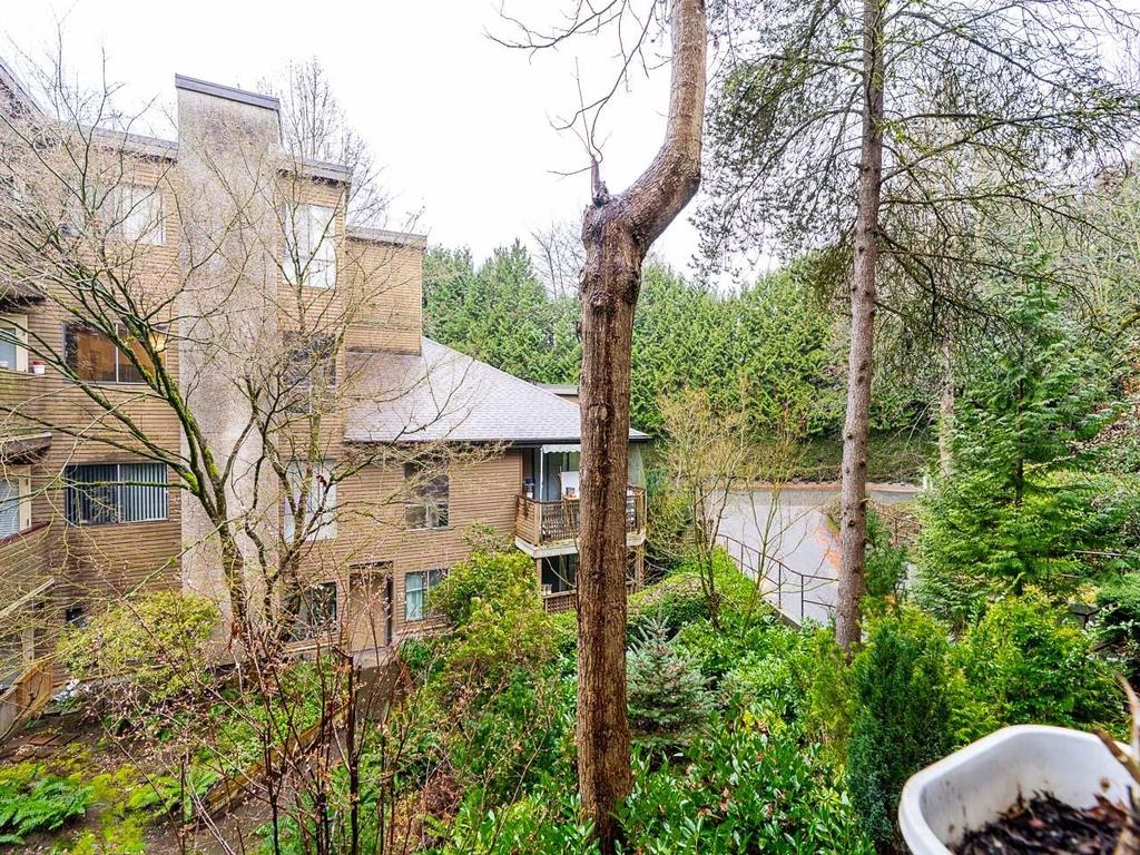 Listing Image for R3097061