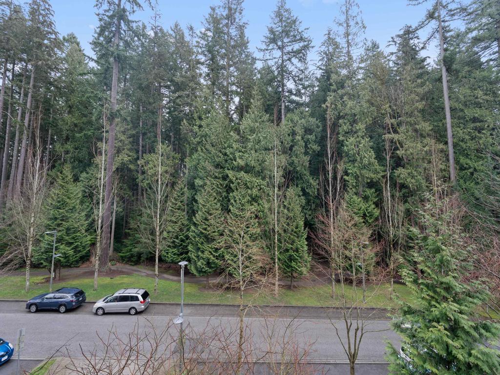 Listing Image for R3097087