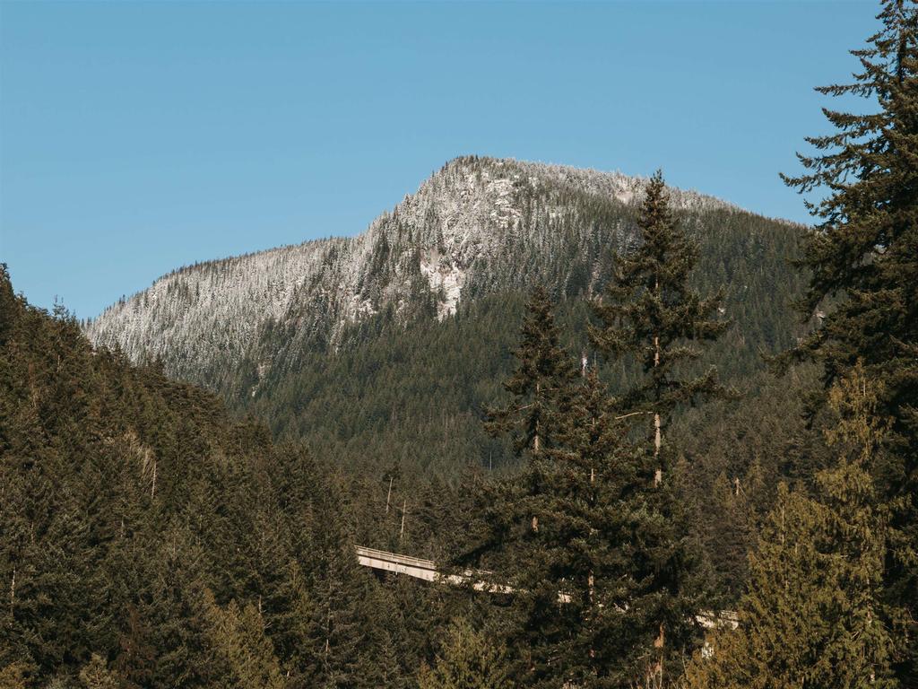 Listing Image for R3097114