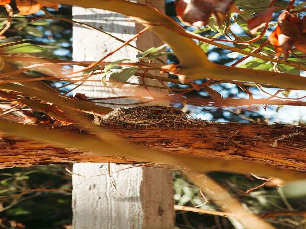 Listing Image for R3097114