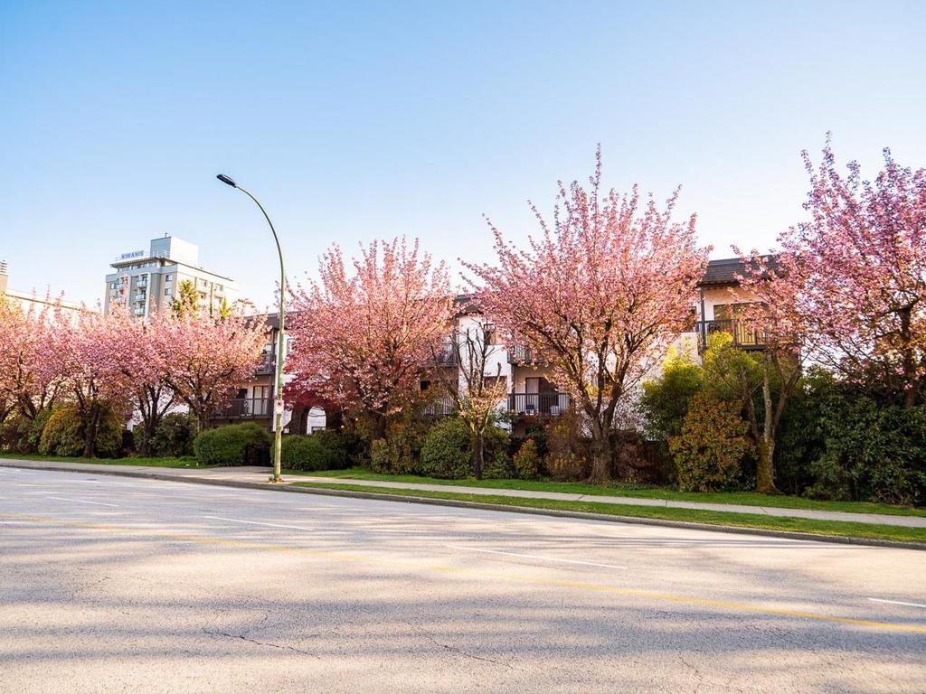 Listing Image for R3097381