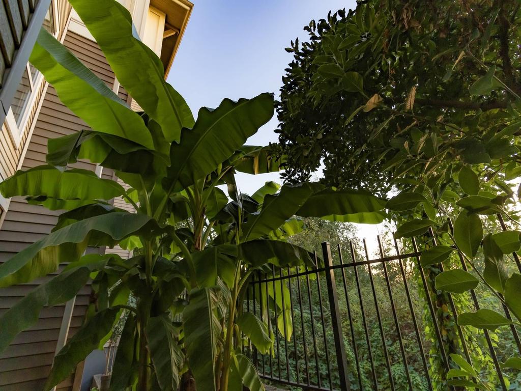 Listing Image for R3097780