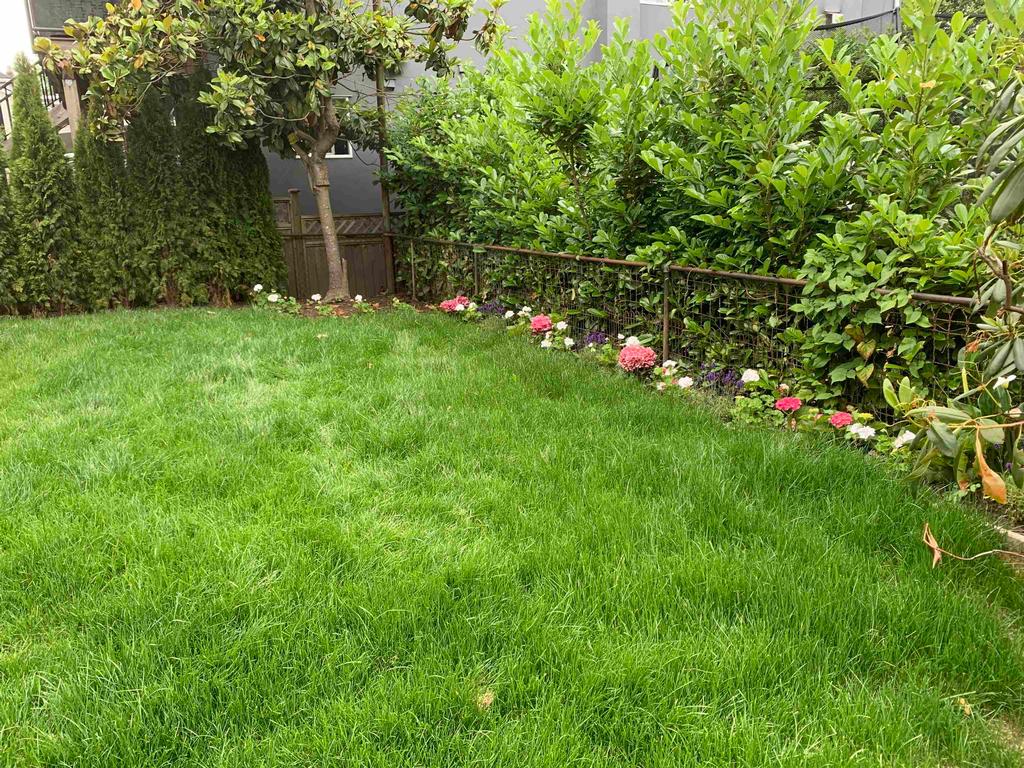 Listing Image for R3097914