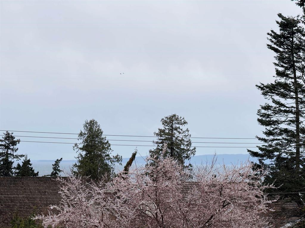 Listing Image for R3097949