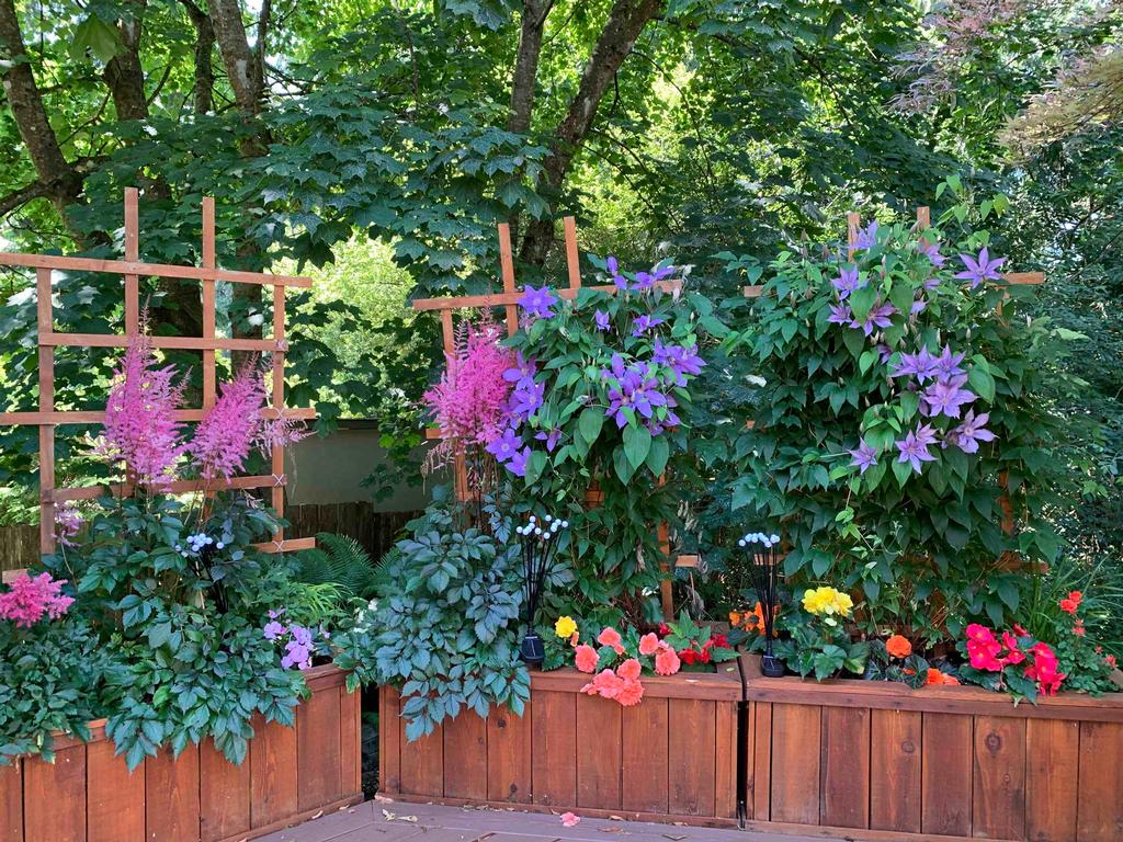 Listing Image for R3097993