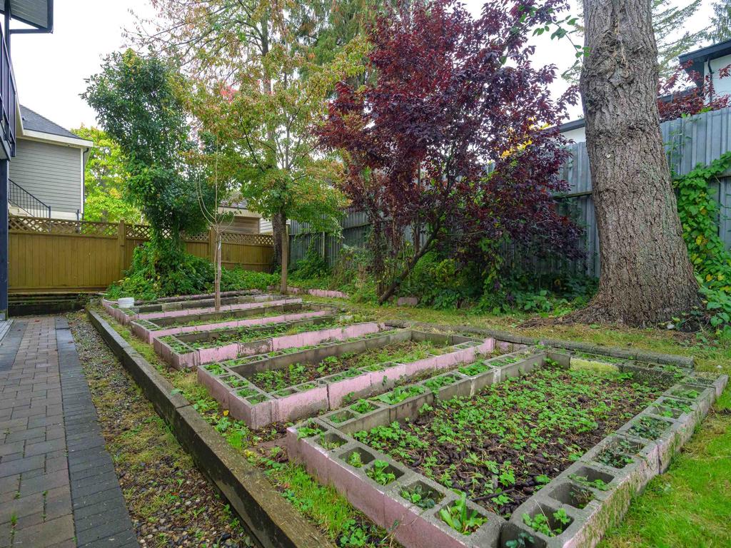 Listing Image for R3098209