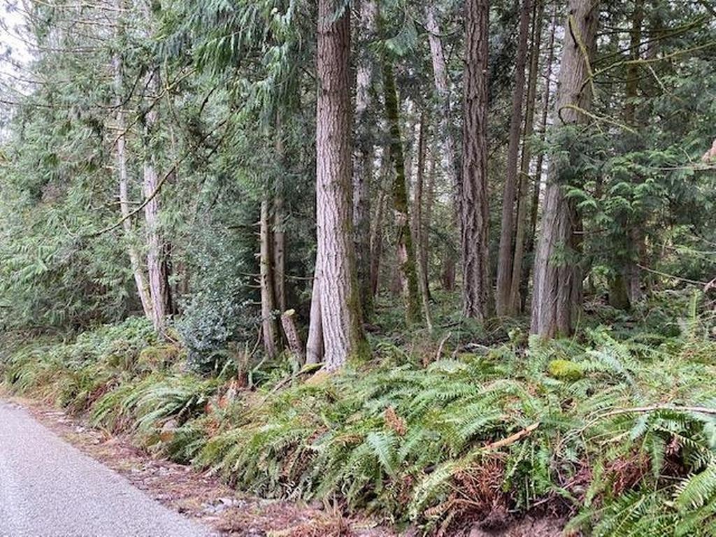 Listing Image for R3098257