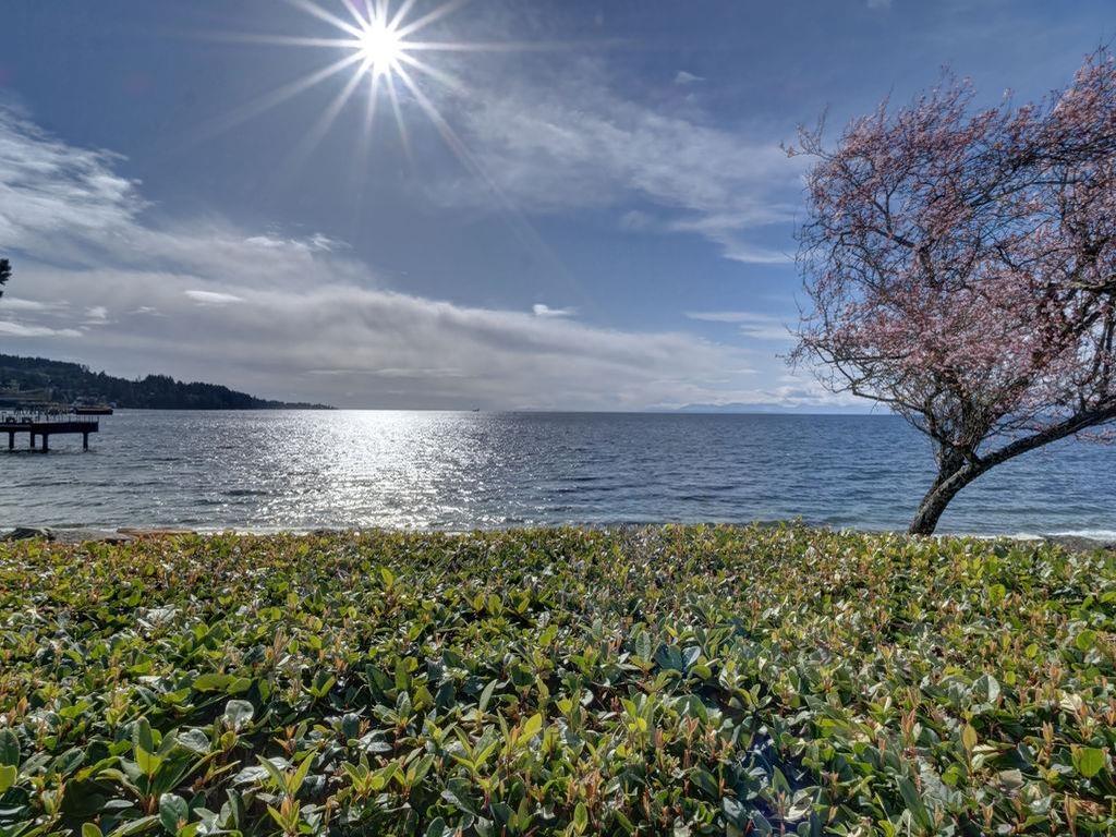 Listing Image for R3098489