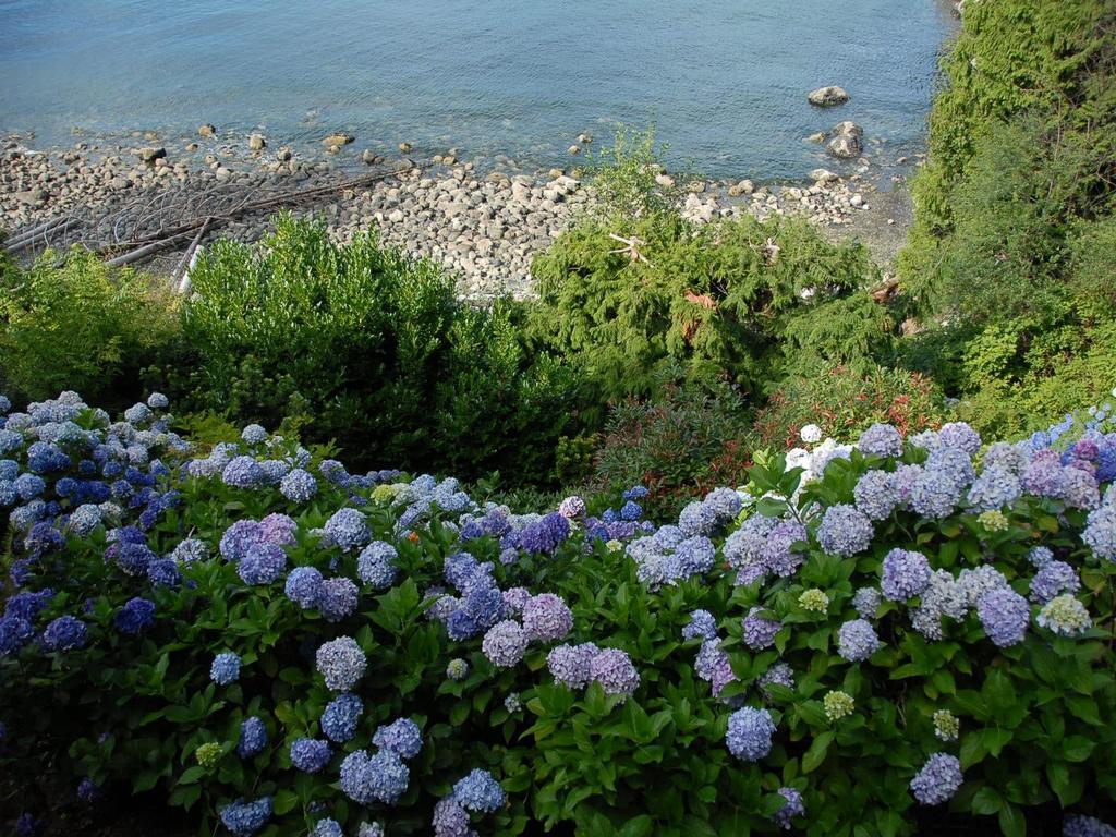 Listing Image for R3098547