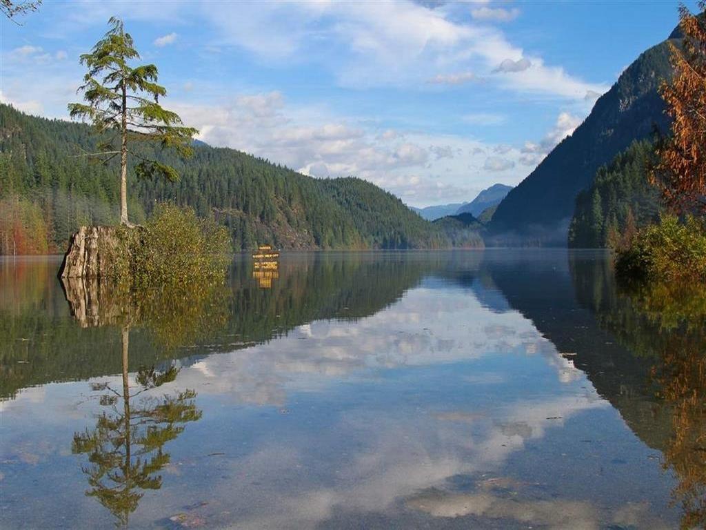 Listing Image for R3098816