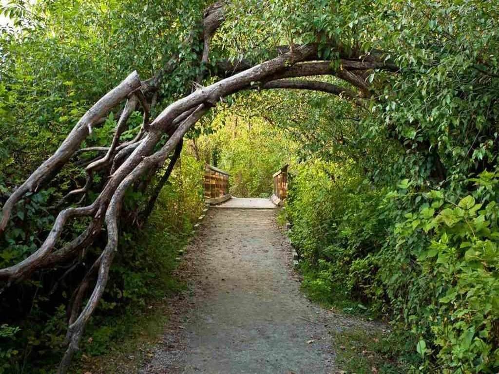 Listing Image for R3098816