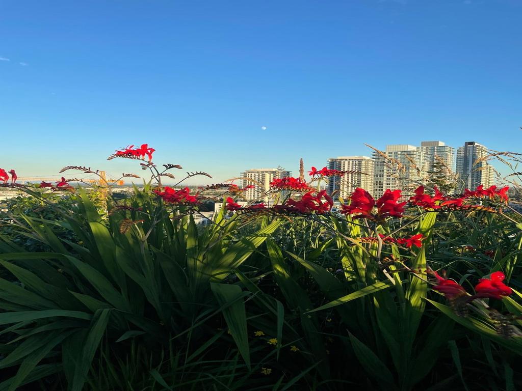 Listing Image for R3099078