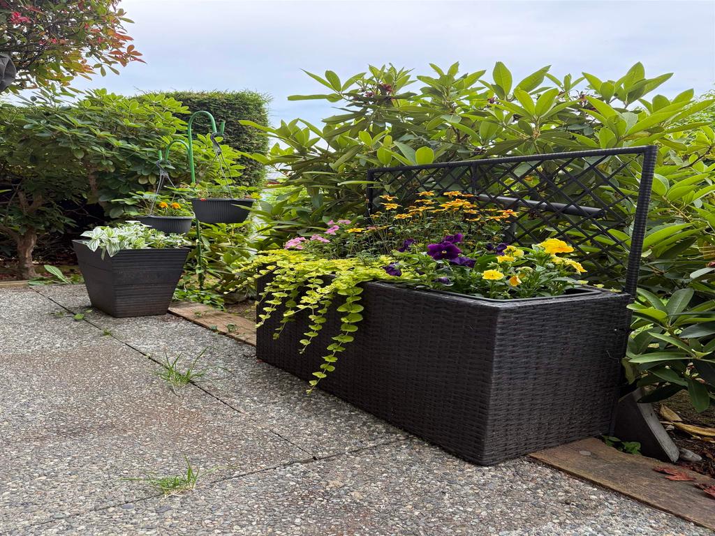 Listing Image for R3099107