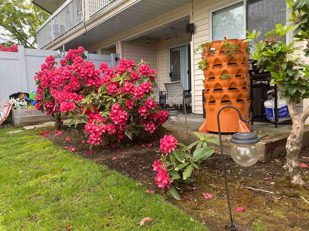 Listing Image for R3099107