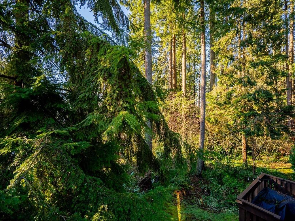 Listing Image for R3099225