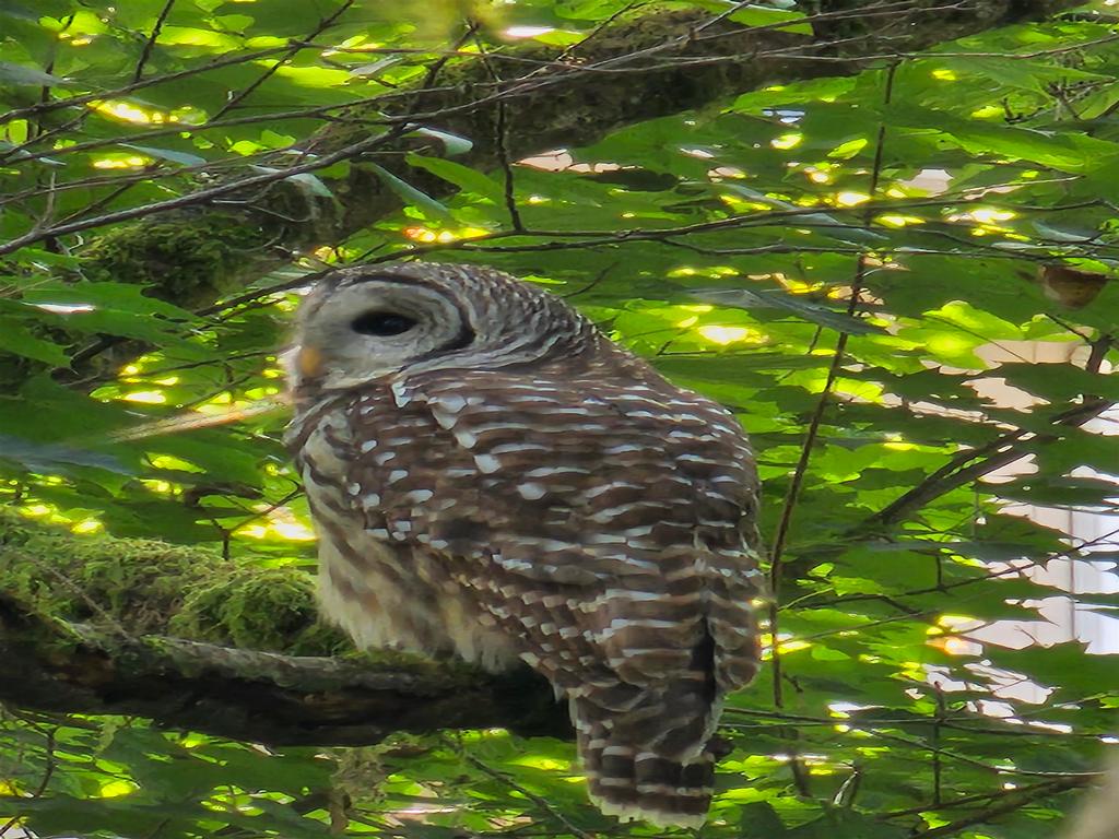 Listing Image for R3099487