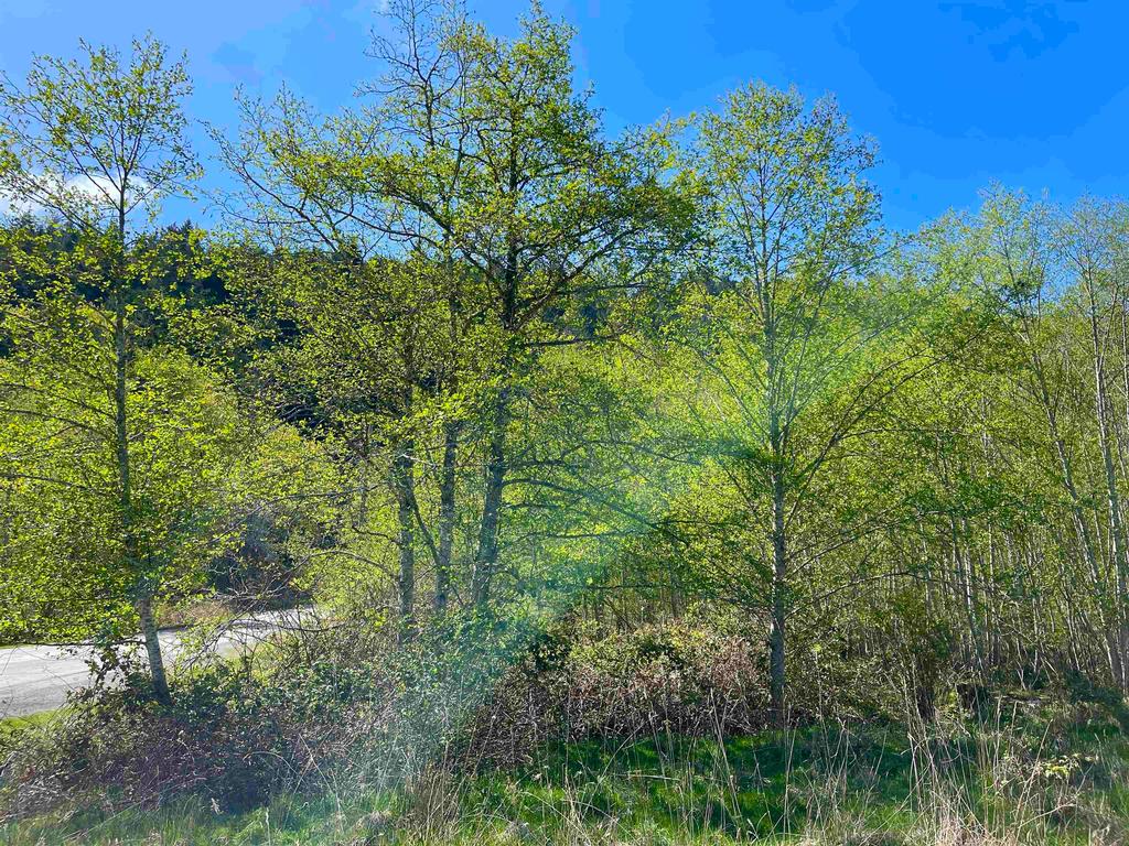 Listing Image for R3099511