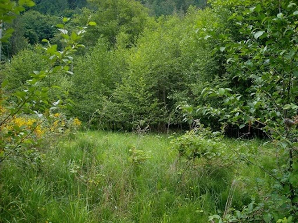 Listing Image for R3099511