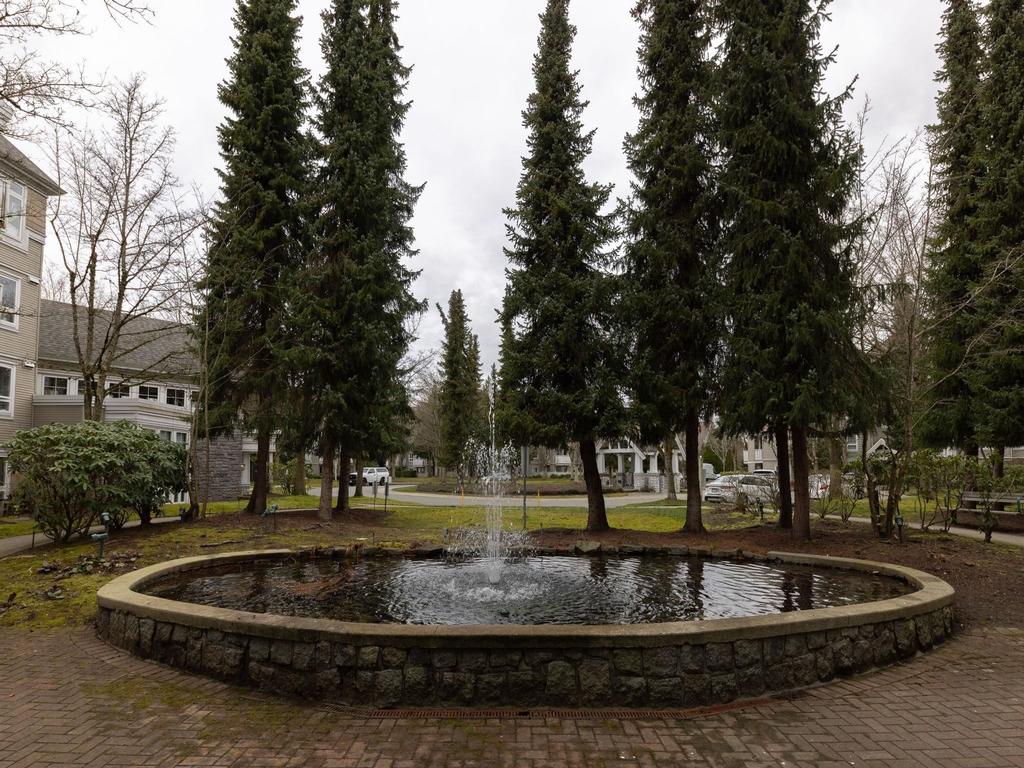 Listing Image for R3099576