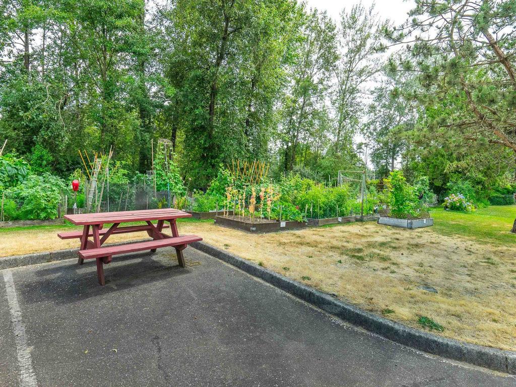 Listing Image for R3099700