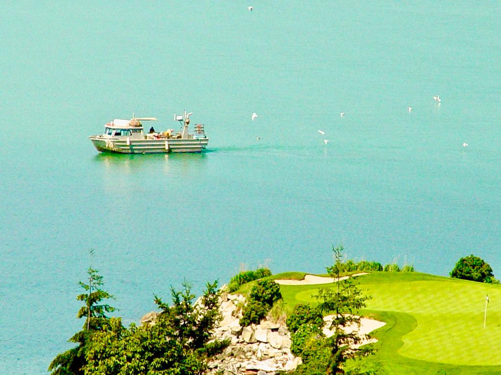 Listing Image for R3099714