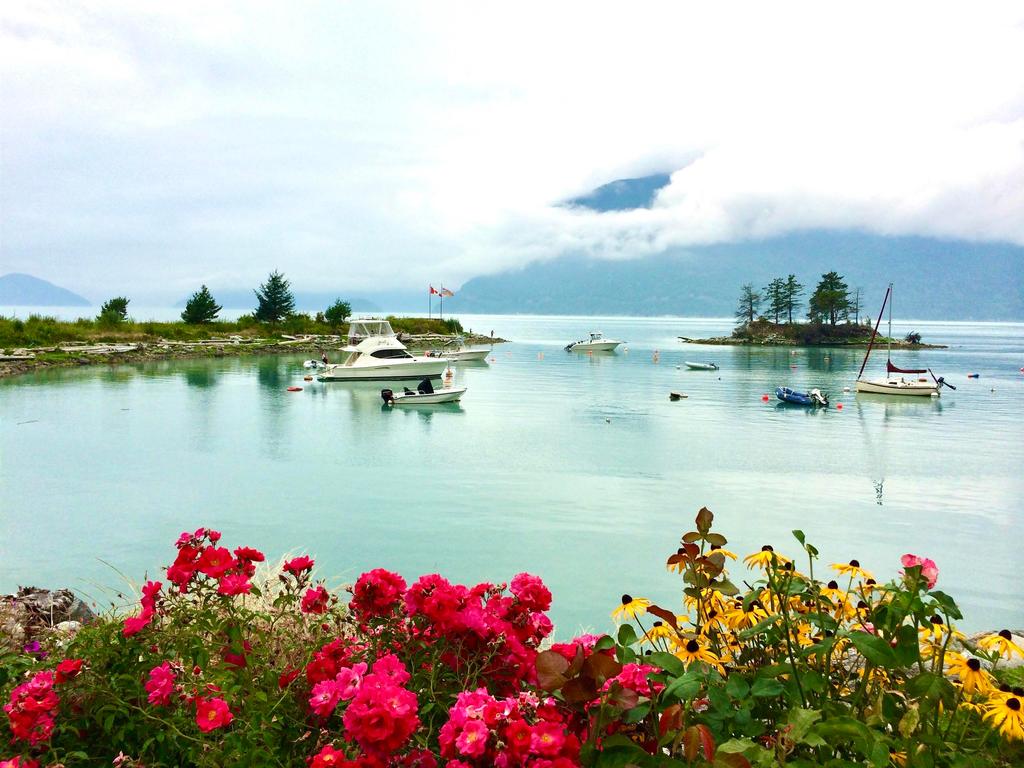 Listing Image for R3099716