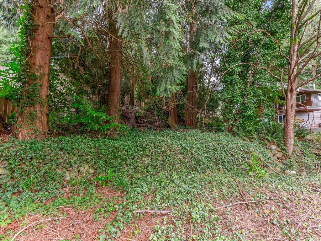 Listing Image for R3100467