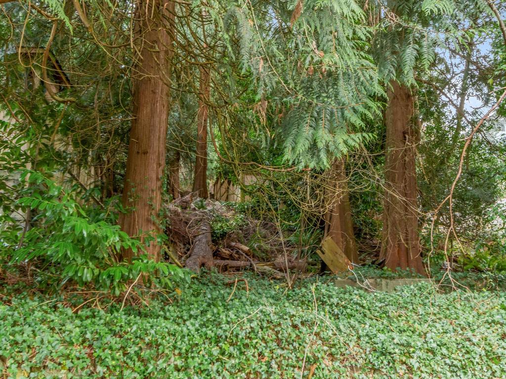 Listing Image for R3100467