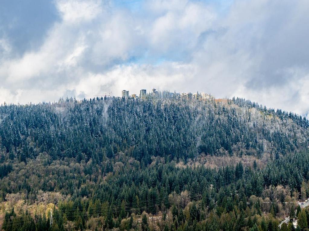 Listing Image for R3100621