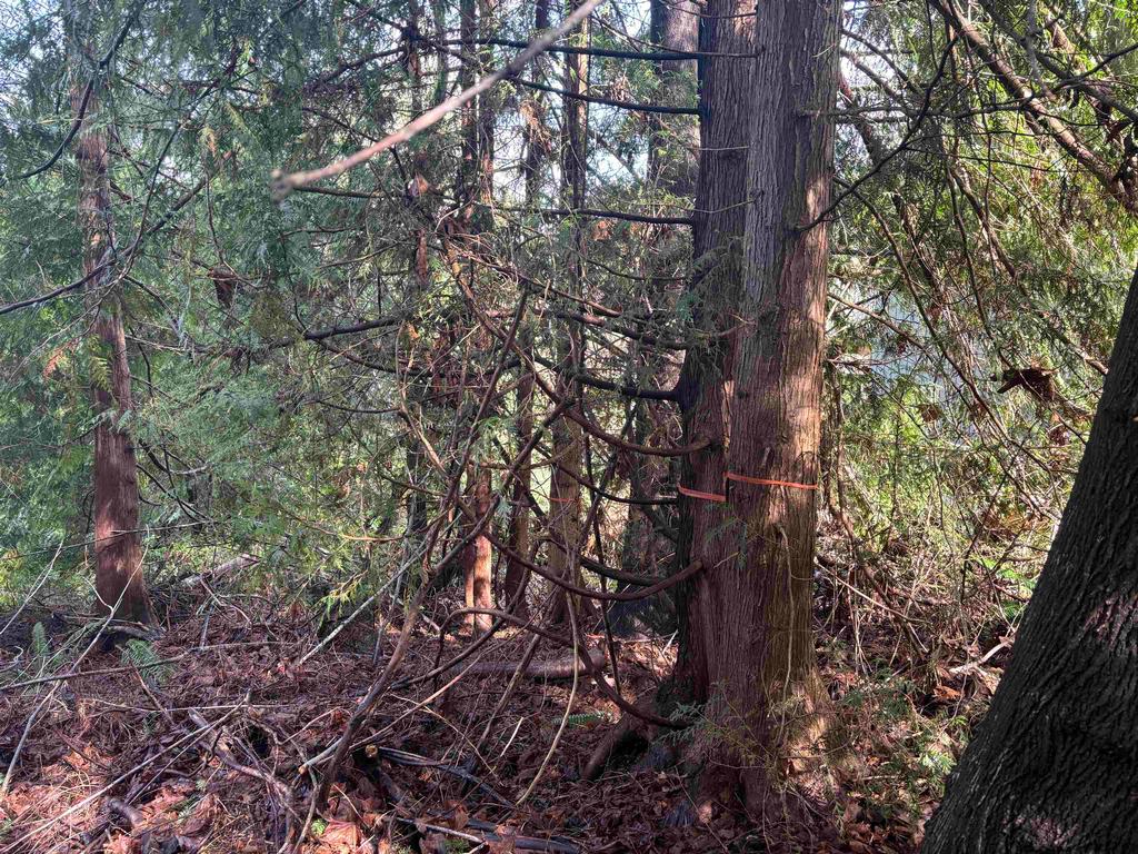 Listing Image for R3100942