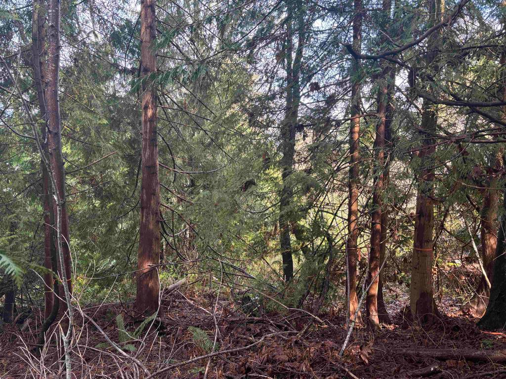 Listing Image for R3100942