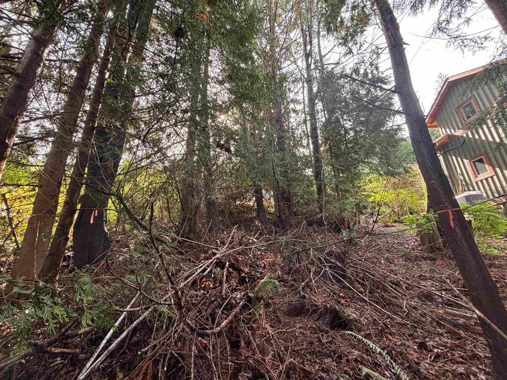 Listing Image for R3100942