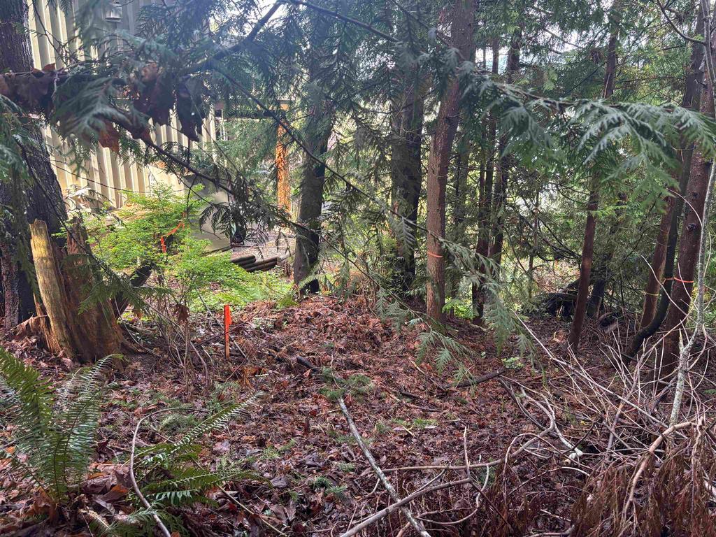 Listing Image for R3100942