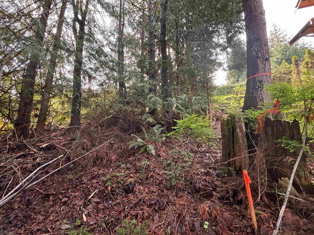 Listing Image for R3100942