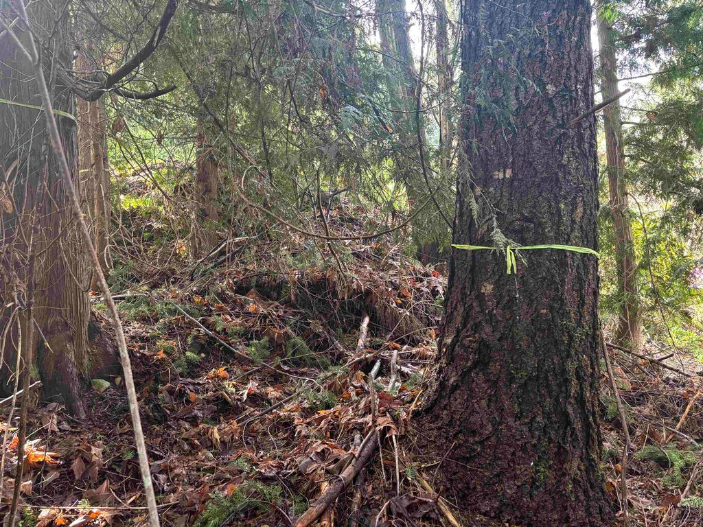 Listing Image for R3100942