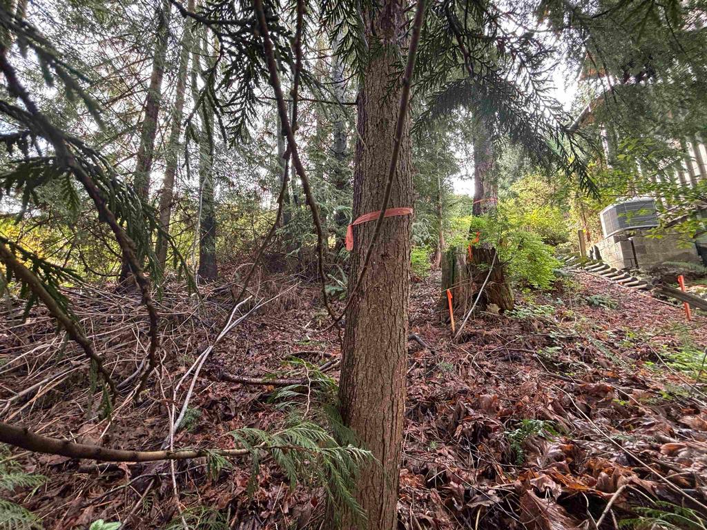 Listing Image for R3100942