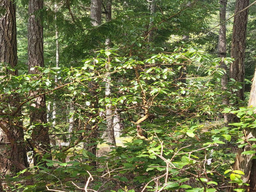 Listing Image for R3101108